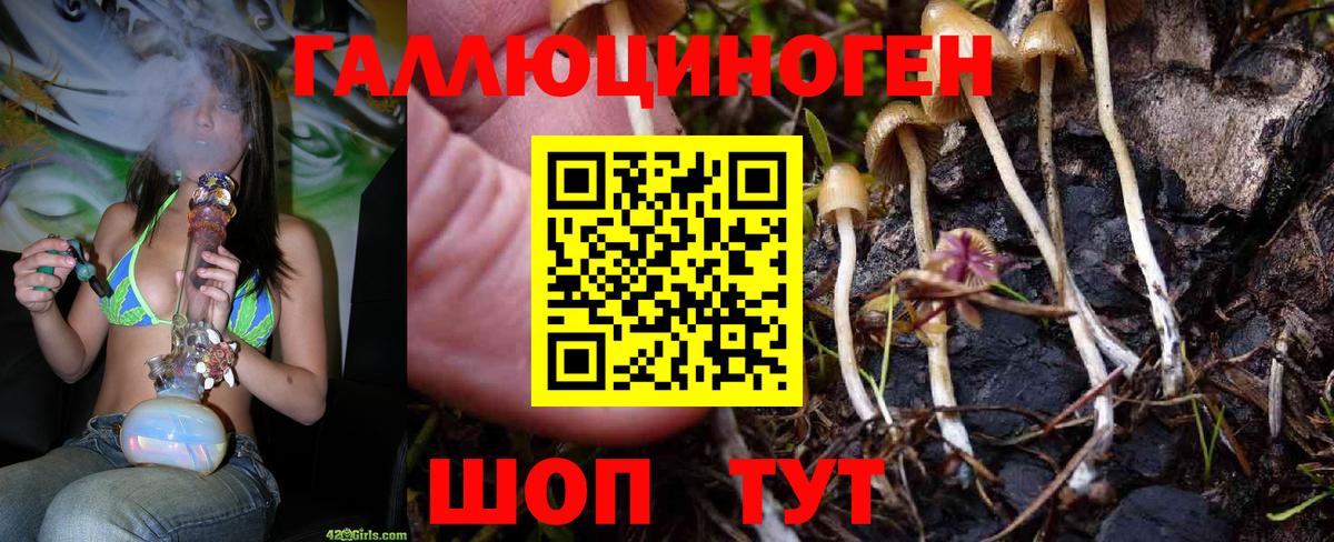 Псилоцибиновые грибы Magic Shrooms Тула