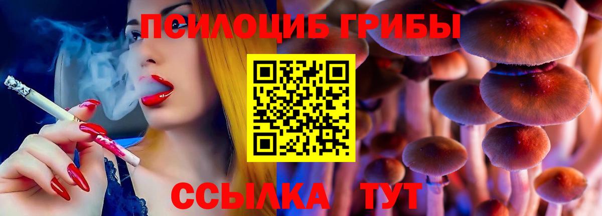 где найти   Псилоцибиновые грибы Magic Shrooms  Вход с VPN  Галлюциногенные грибы MAGIC MUSHROOMS  Тула 